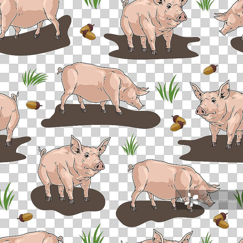 彩色的猪群图案，无缝设计图片素材