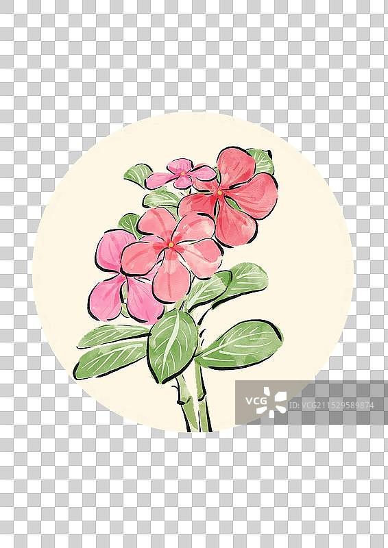 国潮风花朵插画元素-长春花图片素材