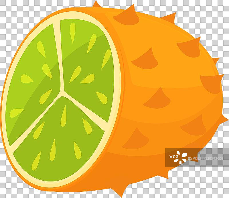卡通夏季叶子上的半个刺角瓜图标图片素材