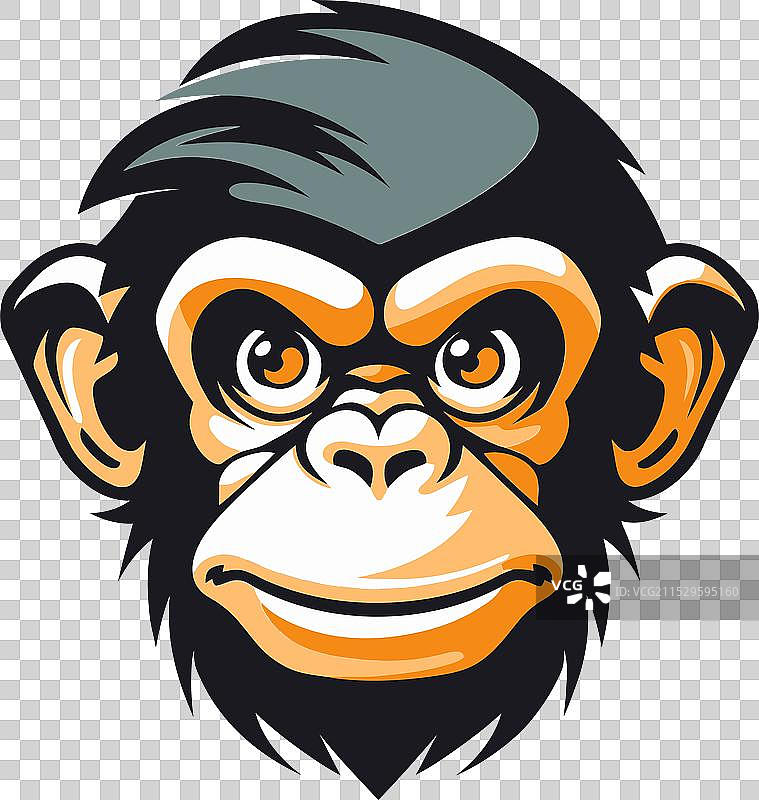 黑白色的猩猩象征着猿类的威严图片素材