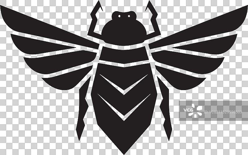 黑蝉标志的蝉鸣交响曲图片素材