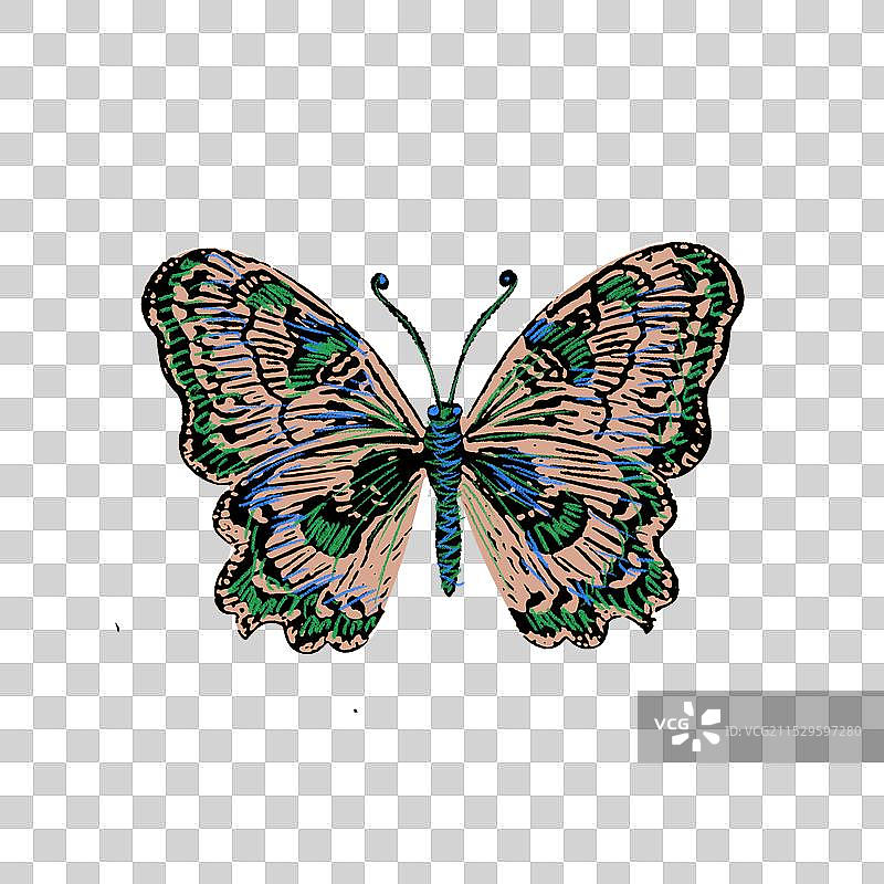 创意蝴蝶动物手绘刺绣元素图片素材