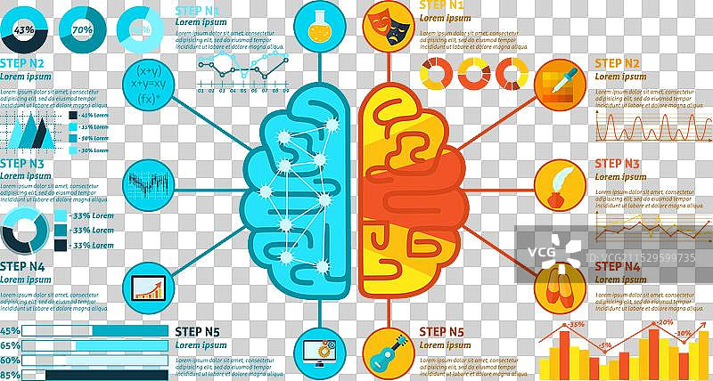 左右脑信息图表图片素材