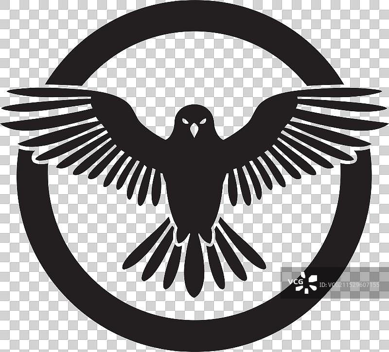 午夜掠食者优雅的鸟类剪影图片素材