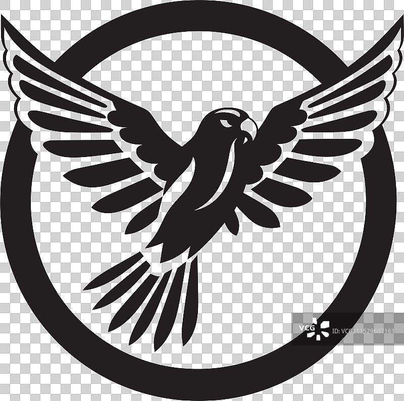 单色的威严极简风格的雀鹰侧影图片素材