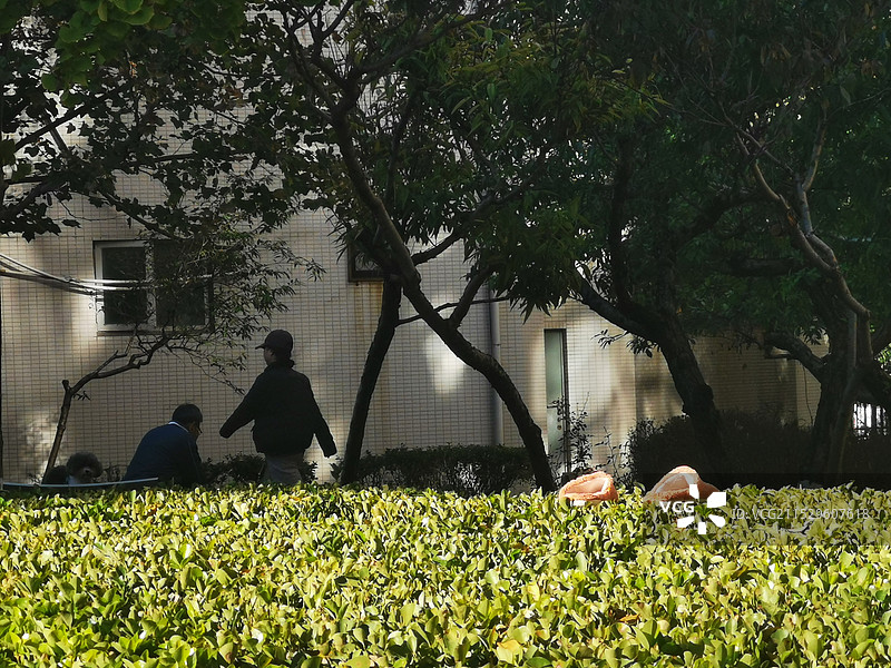 阳光与阴影图片素材