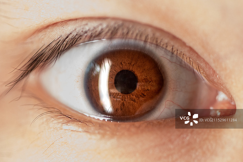 眼睛虹膜微距图片素材