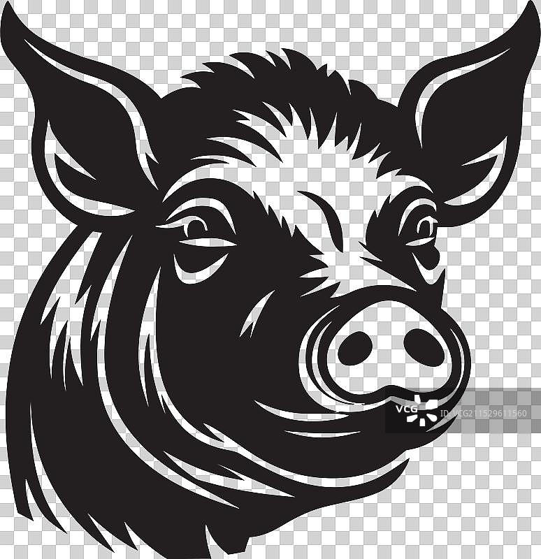 神秘的小猪佩奇在聚光灯下图片素材