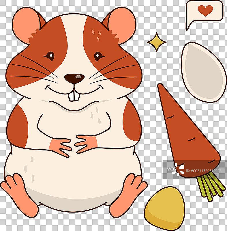 可爱的橙白色仓鼠与胡萝卜和玉米图片素材