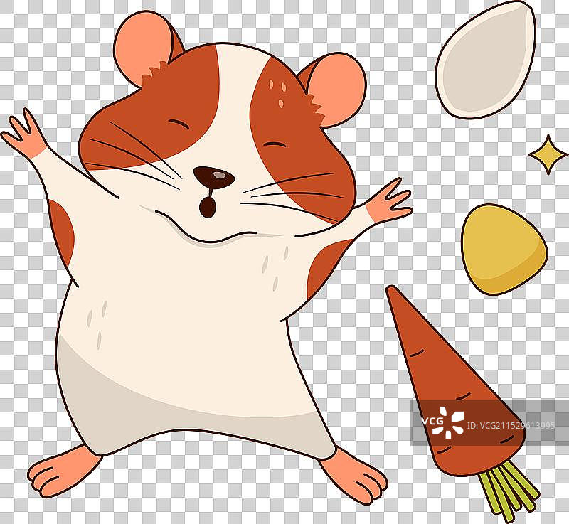 可爱的橙白色仓鼠伸展身体并打哈欠图片素材