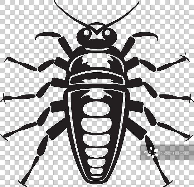 壮丽的午夜奇迹银鱼徽章图片素材