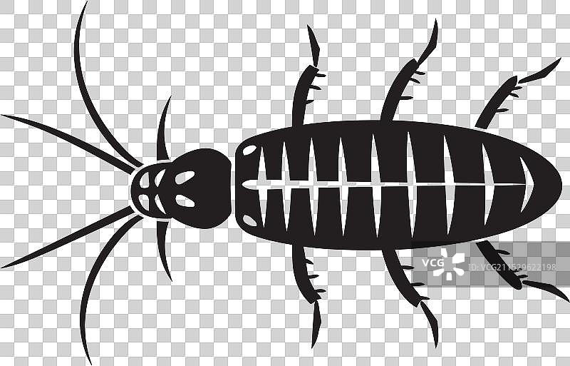 精致的银鱼图形标志图片素材