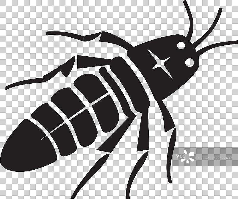 银鱼交响曲：黑玛瑙的海洋优雅图片素材