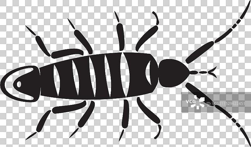 银鱼 夜行性 航海之美 黑暗的乐趣图片素材