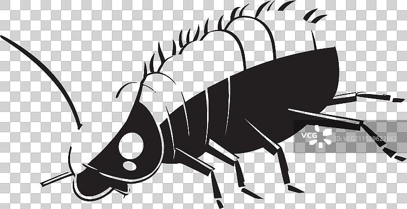 深夜奇迹的流畅轮廓图片素材