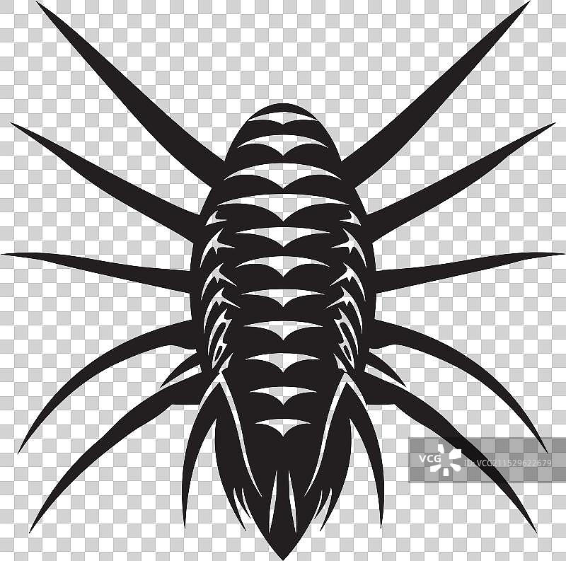 波浪下的银鱼辉煌艺术表现图片素材