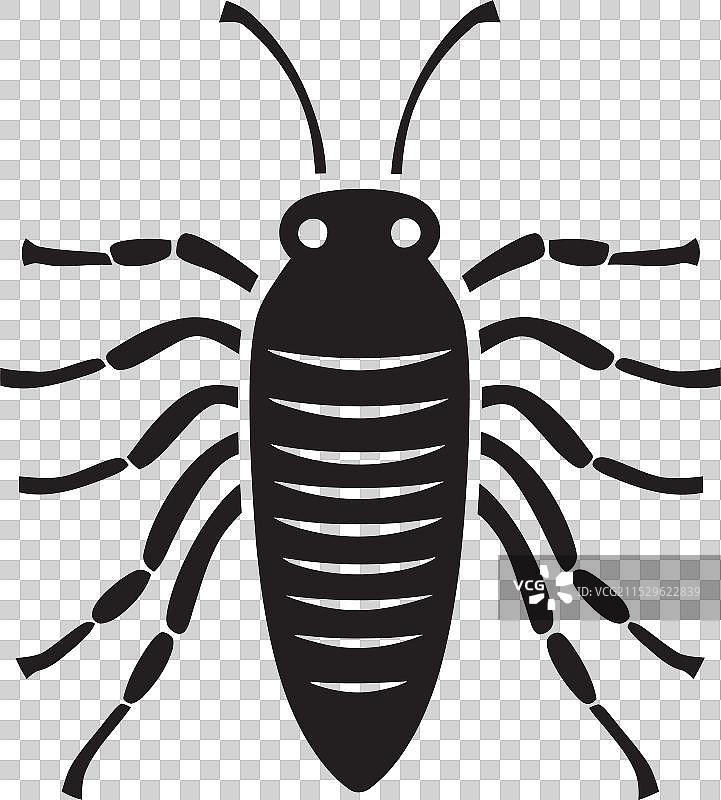 银色鱼魅力沉浸在闪光中图片素材