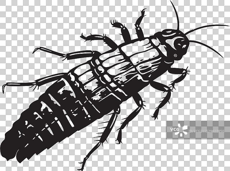 深邃银色艺术中的美感图片素材