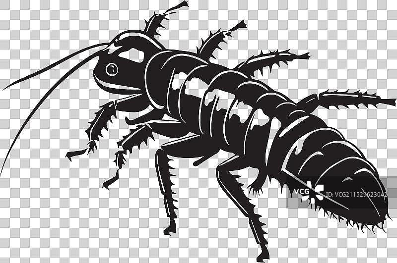 闪耀的银色溪流图标，海洋奢华图片素材