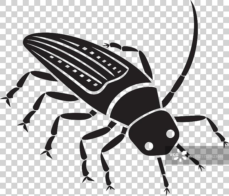 深渊海洋徽章雕刻的昆虫优雅图片素材