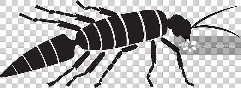 沉没的银鱼徽章午夜奇迹图片素材