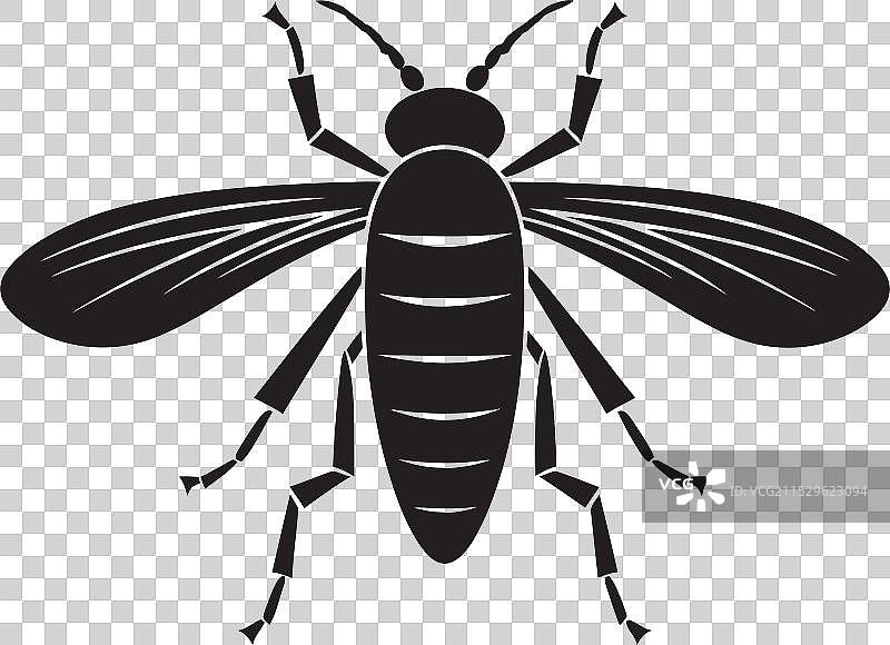 优雅的海洋奇观，午夜的威严之美图片素材