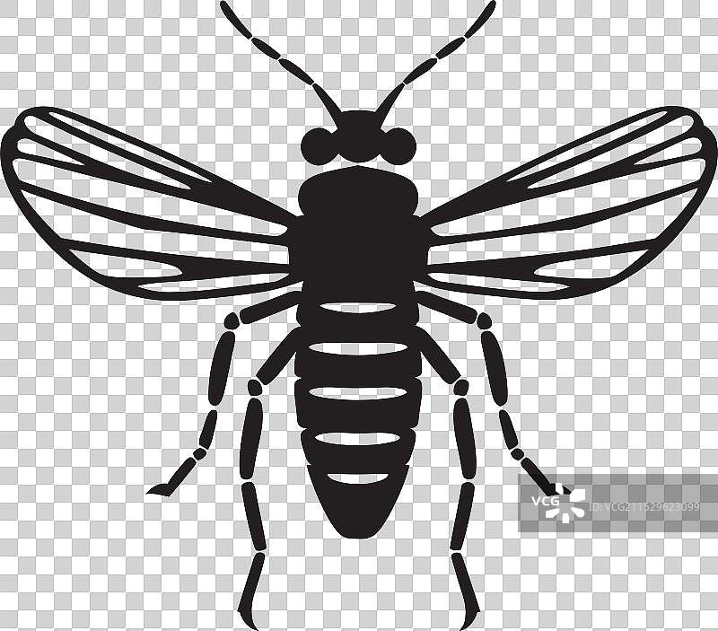 黑色昆虫徽章雕塑的标志性优雅图片素材