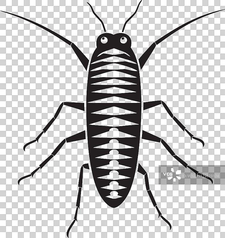 深黑色银鱼的卓越之美图片素材