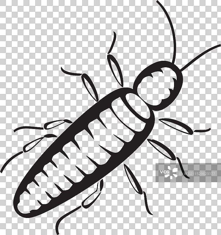 静谧闪烁的美丽午夜海洋奇观图片素材