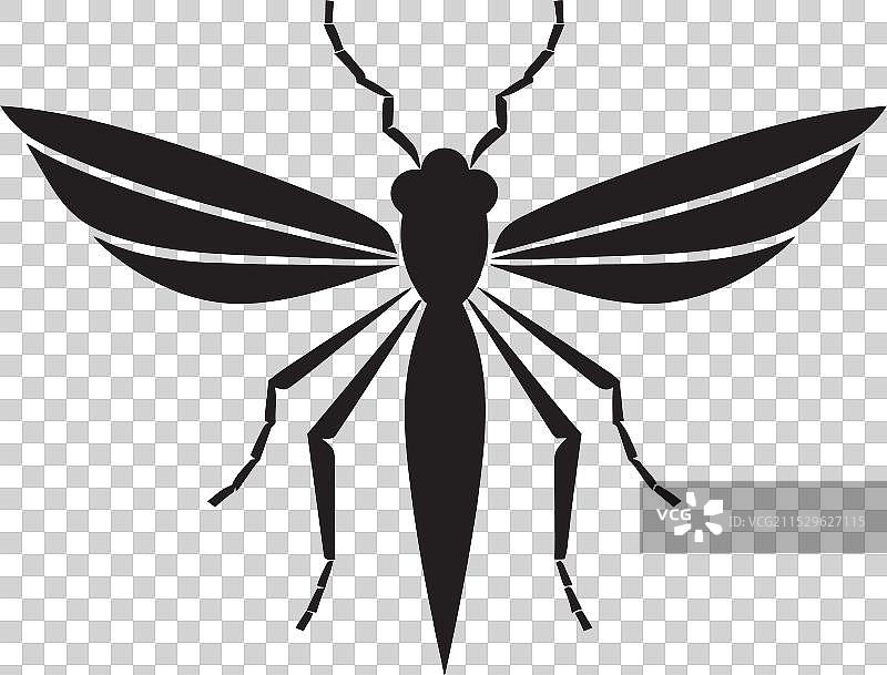 奇幻的昆虫极简主义竹节虫符号图片素材