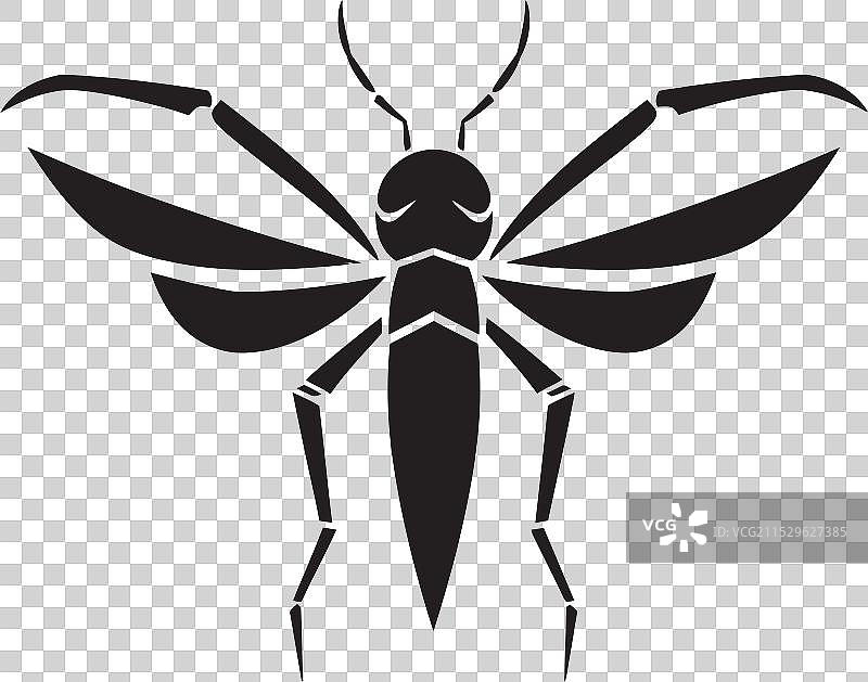 优雅的线条艺术竹虫设计图标图片素材