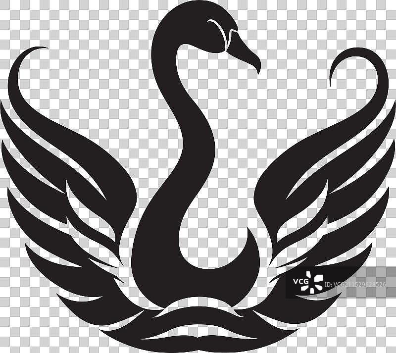 艺术黑天鹅徽章中的天鹅威严图片素材