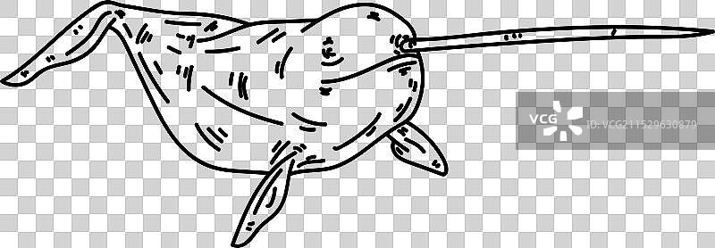 独角鲸轮廓图片素材