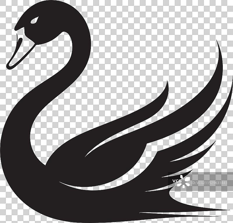 优雅的天鹅，线条流畅，时尚的黑天鹅图片素材