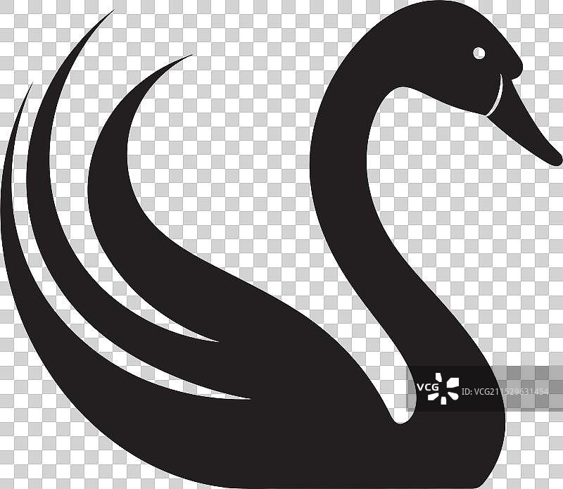 黑天鹅图形设计中的抽象天鹅侧面轮廓图片素材