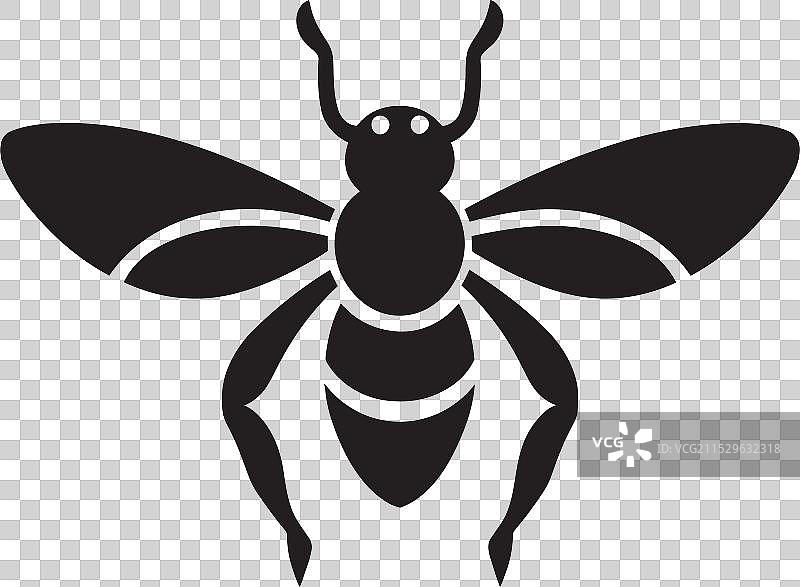 狼蛛鹰空中徽章昆虫猎手标志图片素材