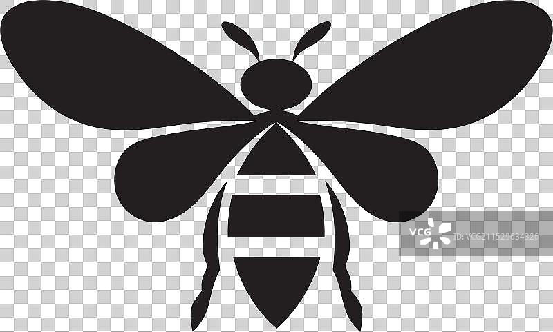 黑色昆虫灾害象征有翅膀的寄生虫徽章图片素材