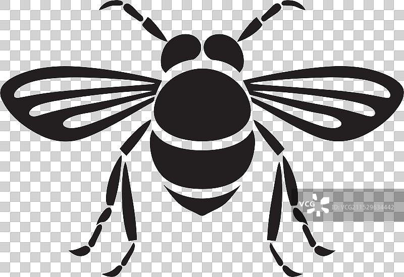 隐秘的采采蝇标志，昆虫感染者图标图片素材