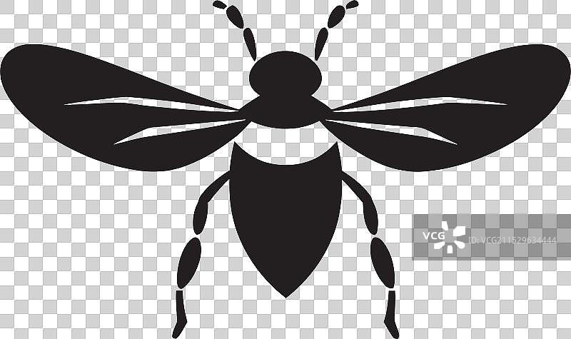 单色苍蝇图标，采采蝇病害象征图片素材