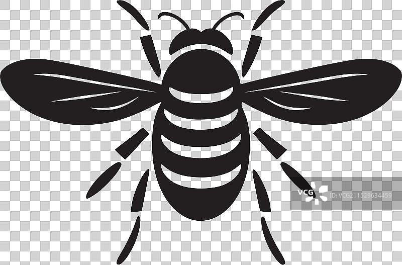 特塞特蝇致命的刺，黑暗的象征徽章图片素材