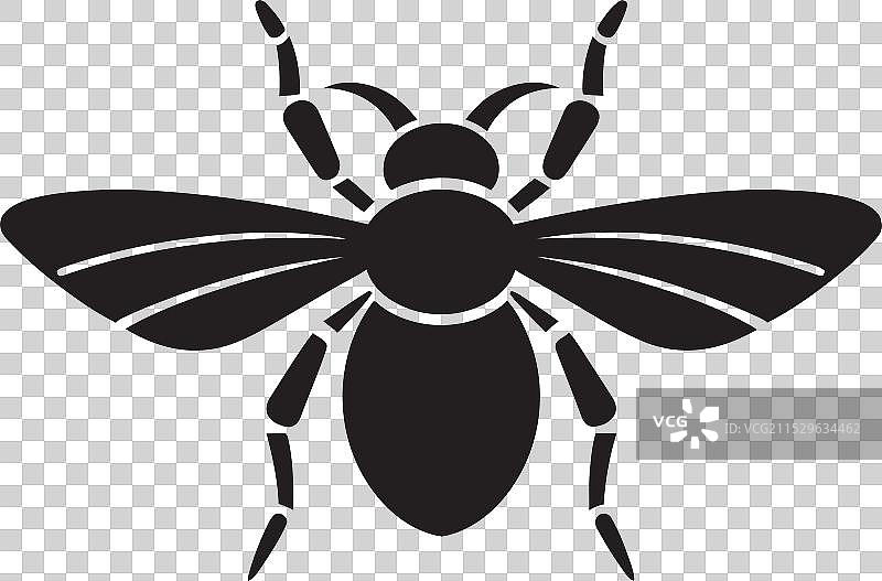 黑暗徽章单色昆虫入侵图片素材