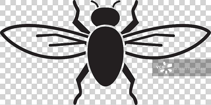 隐秘的苍蝇 单色 疾病传播者图片素材