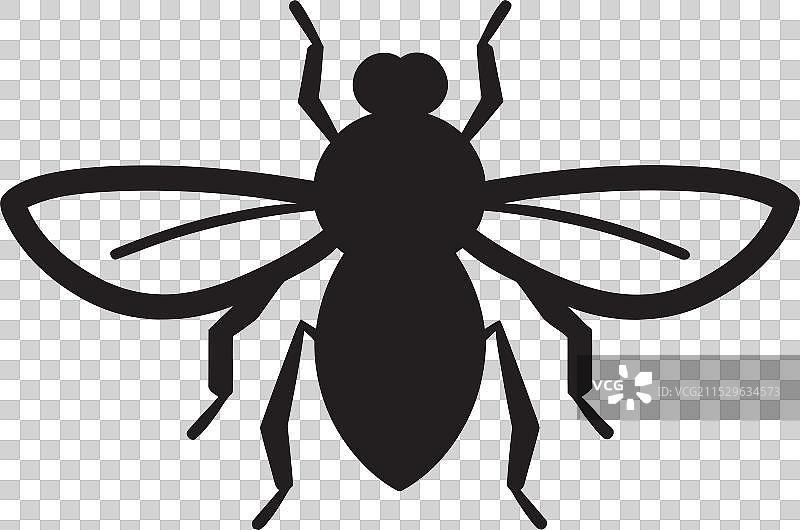 末日昆虫 单色采采蝇入侵者图片素材