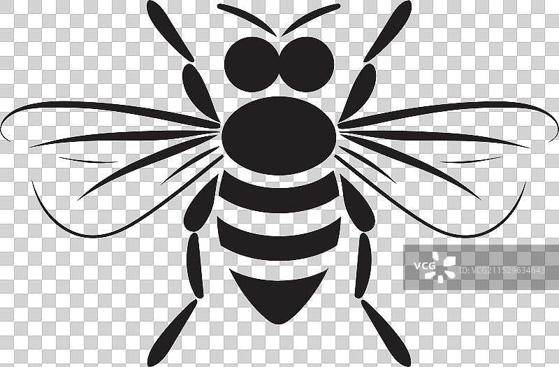 沉默的疾病，雄伟的黑秃鹰徽章图片素材