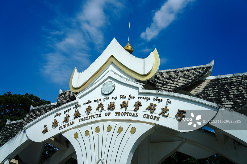 西双版纳热带花卉园景区图片素材