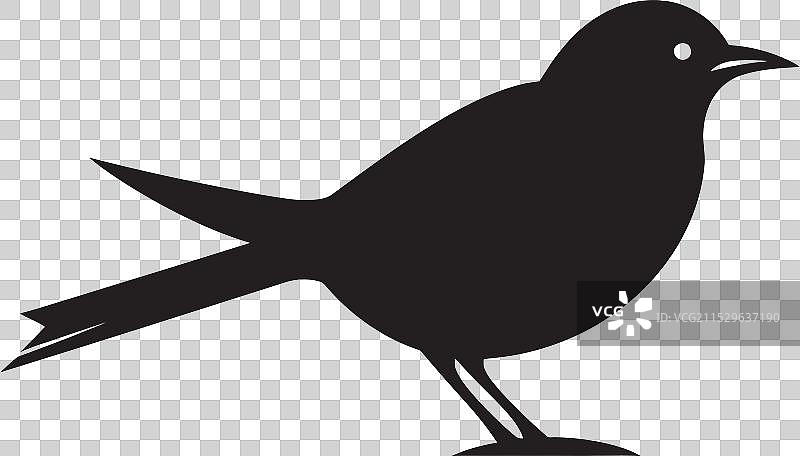 雄伟的鹰徽章与雀鹰宁静图标图片素材