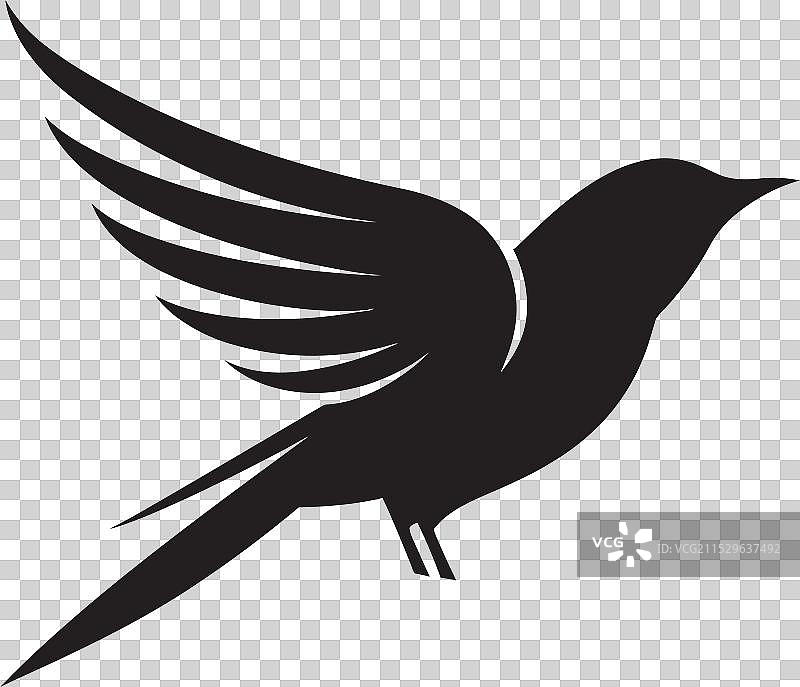 巨嘴鸟部落王猎鸟纹章图片素材