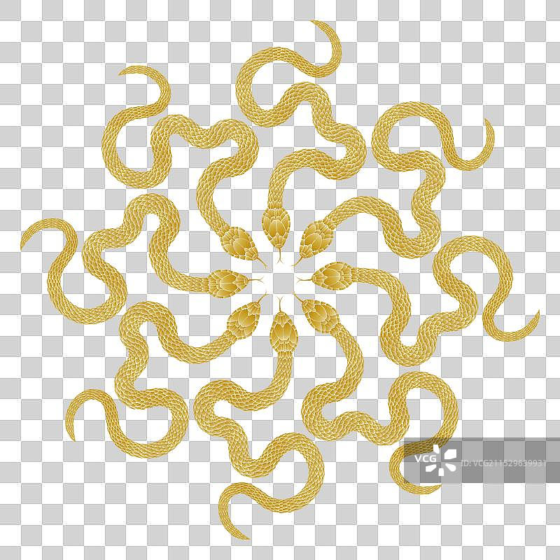 金色的蛇组合图案图片素材