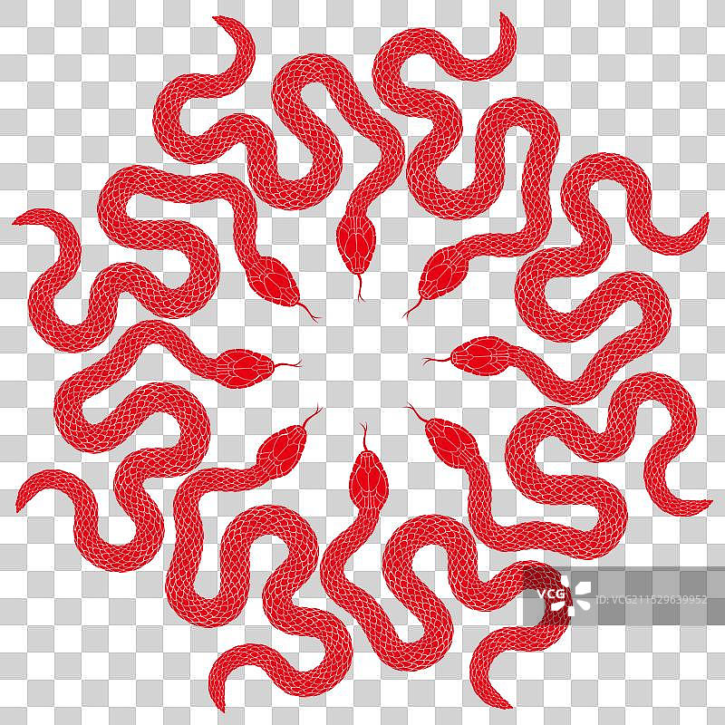 红色的蛇组合图案图片素材