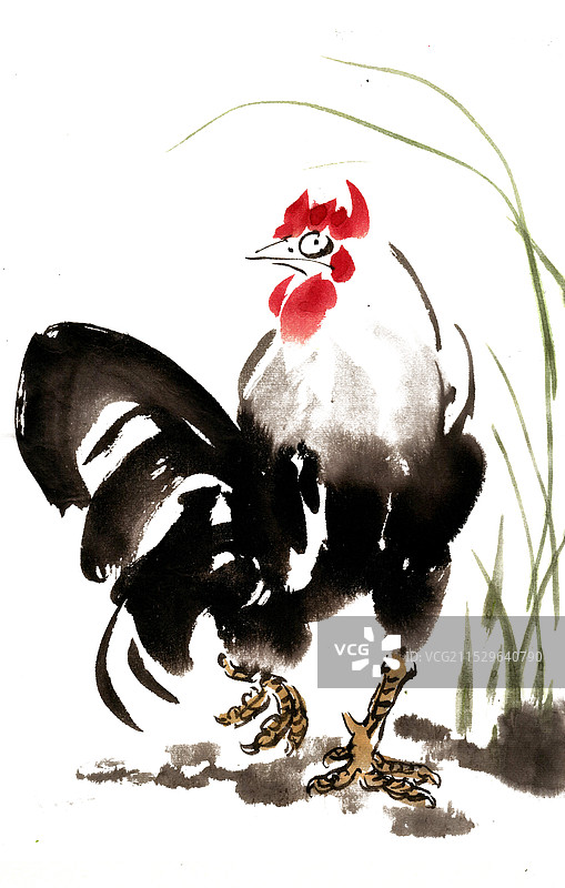 公鸡与水草图片素材